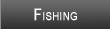Lake Huron Fishing
